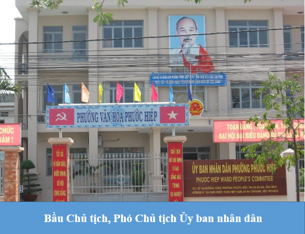 Nghị định số 115/2021/NĐ-CP sửa đổi, bổ sung một số điều của Nghị định số 08/2016/NĐ-CP ngày 25 tháng 01 năm 2016 của Chính phủ quy định số lượng Phó Chủ tịch Ủy ban nhân dân và quy trình, thủ tục bầu, từ chức, miễn nhiệm, bãi nhiệm, điều động, cách chức thành viên Ủy ban nhân dân.